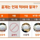 사계절꽃게 이미지