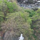 끼룩끼룩