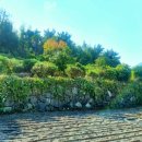 오수리농장 이미지