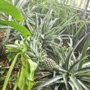 명욱농장 이미지