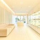 디디에퍼피 이미지