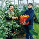 이영란농장 이미지