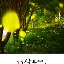문예바다 기획선 - 꽃살문에 앉은 바람/ 김현주 산문집 이미지