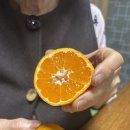 유현농장 이미지