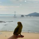 청학수변공원 | [여행] 앵무새 힐링이와 2박 3일 부산여행 | 1일차