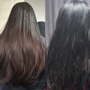 (주)정동테크 | 천안 염색 맛집 찰스리헤어테크 천안 신부 터미널점 염색 후기