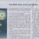 1949도나쓰 이미지