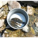 KT홍천지점 이미지