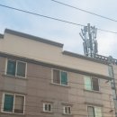 신동-111 이미지