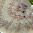 산호타운 | 진천 맛 타운 진천동 횟집 상인동 횟집 프라이빗 한 룸 | 산호 횟집