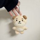 타임트레이딩 | 251221 데이식스 콘서트 후기｜2025 DAY6 Special Concert The Present｜데이식스 클콘 엠디｜막콘 셋...