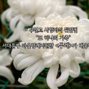 장례지원단 이미지