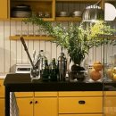 펫브런치 이미지