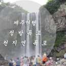 마라도 여행 배시간 확인하고 송악산 마라도여객선으로 이미지