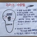 동락공원 반려동물 놀이터 이미지