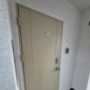 수원-1313 네이버블로그