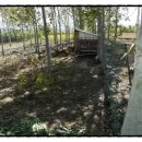 화룡농장 이미지