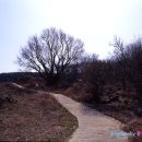 바람섬 이미지