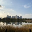 부개공원 배드민턴장 이미지
