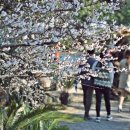 동막골 펜션 이미지