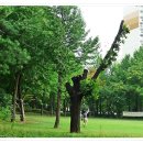 아시아공원 이미지