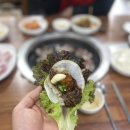 산호동215 이미지