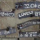 비타민 숲 이미지