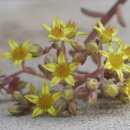 달이 떠올라 이미지