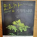 용환한의원 이미지