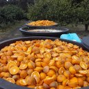 금순이농장 | 반디농장 10년史 (1)