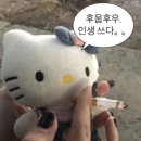 키티 - 창원시 마산합포구 | 키티