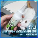 개봉동물병원 | [내돈내산] 탐사 순한 편백수 반려동물 귀세정제 (feat. 저자극 고양이귀세정제)