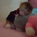 끼끼
