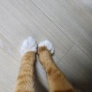 동물병원 오월의산책 이미지