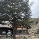 강산컨설팅 | [수도권단체관광버스] 월출산 유채꽃부터 포천 산정호수 곤드레밥까지, 실패 없는 단체 여행의 정석