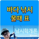 바다낚시 네이버블로그