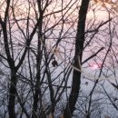 구룡산민박 이미지