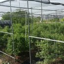 다현농장 이미지