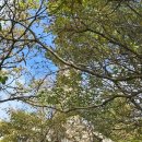 지리산 노고단 탐방 이미지