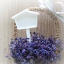 모리농장 이미지