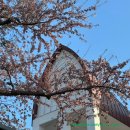 성지중학교 - 용인시 기흥구 | 하코다테여행 공회당 올드퍼블릭 위치 후기 시티패스티켓사용