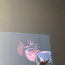 이쯤돼서 복습해보는 킹누 내한콘 후기