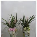 비룡어린이집 이미지