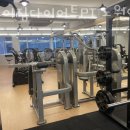 트로이짐 이미지