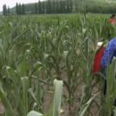 해선농장 이미지