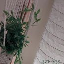 공간202