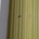 수리산로 이미지