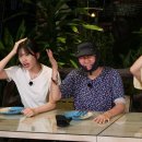 야옹이네 이미지