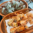 어촌마을1호점 이미지