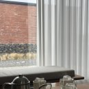 동광의계절 이미지